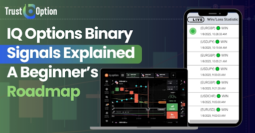 iq-options-binary-signals-explained:-a-beginner’s-roadmap