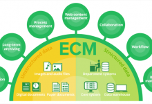 the-role-of-enterprise-content-management-in-modern-organizations