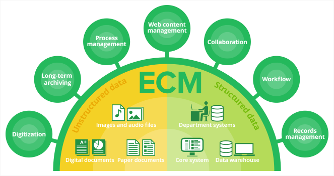 the-role-of-enterprise-content-management-in-modern-organizations