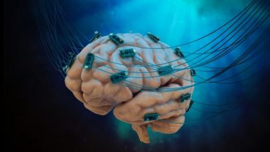 human-brain-cell-computer-is-here